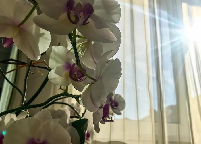 Apartment Garden Oasis